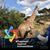 Lisa Himmel-Boliek's profile image