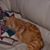 Leah OLeary Eaves's profile image