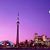 Limya K M Nour's profile image