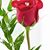 Migdalia Ruiz's profile image
