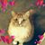 Peggy Wisotzkey's profile image