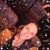 Kristina Sebak's profile image