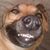 Luis Asher's profile image