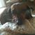 Tandi Sager's profile image
