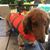 Thomas Kleefisch's profile image