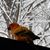 Joan Byrnes's profile image
