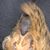 Roselle Lillo's profile image