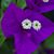 Carolyn Simek's profile image