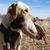 Derek Finney's profile image
