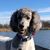 Gina Louise Bischoff's profile image