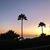 Cindy Lopes Puleo's profile image