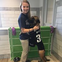Zandra Straple's profile image