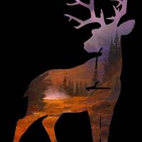 Jim Elkes's profile image