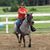 Julie Schlemmer Hamilton's profile image