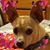 Karen Harbican Fowles's profile image