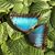 Sandra Balliet's profile image