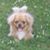 Glennie Hildreth's profile image