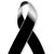 Melissa Gebert Navarro's profile image