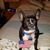 John Purpura's profile image