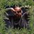 Michael Valenzano's profile image