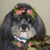 Dee Plante's profile image