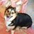 Craig Hall's profile image