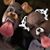Morgan Helbling's profile image