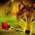 Wolf Dancer's profile image