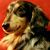 Geoffrey Burch's profile image