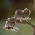 Sarah Allison's profile image