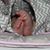 Stacy Miller Anderson's profile image