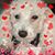 Kathy Williams's profile image