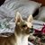 Juanita Matheson's profile image