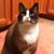 Carolyn Stewart Finkler's profile image
