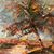 Sandi Shaw's profile image