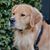Deena Zeidler's profile image