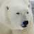 Joanne Richardson's profile image