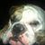 Matthew Piatt's profile image