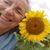 Julia Simmons's profile image