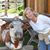 Mara Speelman's profile image