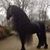 Hector Garcia Velo's profile image