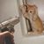 Rob Winburn's profile image