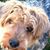 Paul Katzel's profile image