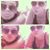 Olivia Antwine's profile image