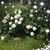 Pam Brown Elick's profile image