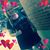 Dorothy Tokar Gonzalez's profile image