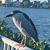 Annie Thorp Foster's profile image