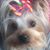 Deborah Laliberte's profile image