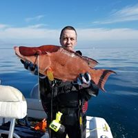 Mike E Womble's profile image