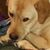 Kj Rouse Hughes's profile image